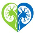 Gemeinschaftspraxis Lesch, Dr. Tartakowski & Dr. Ickerott
